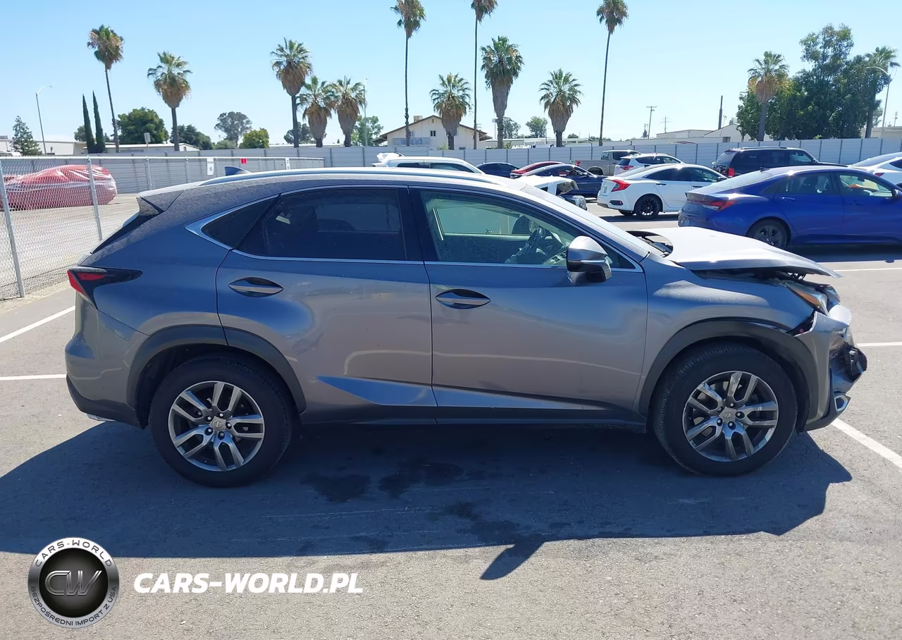 2016 Lexus Nx 200T VIN:JTJYARBZXG2031512 - 13