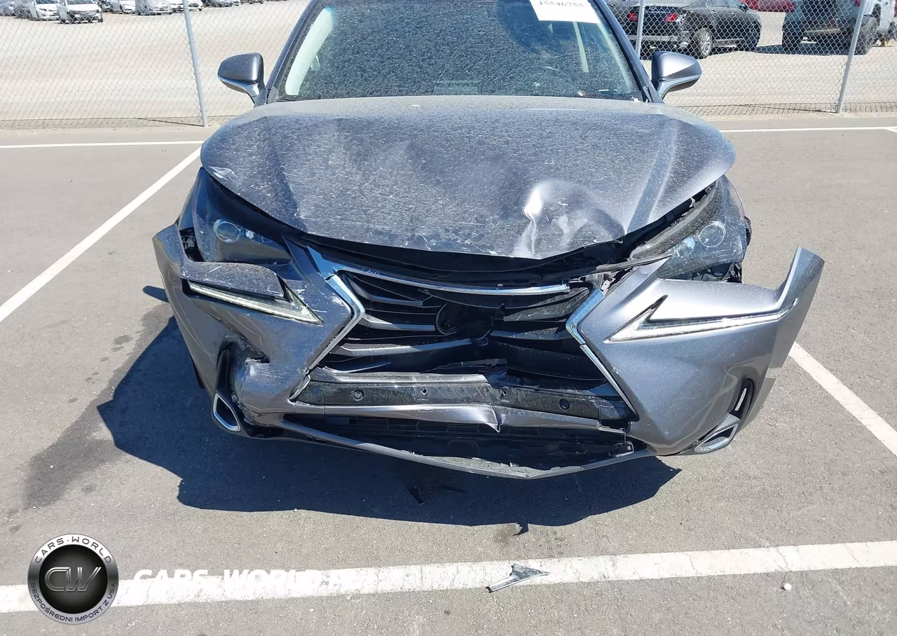2016 Lexus Nx 200T VIN:JTJYARBZXG2031512 - 6