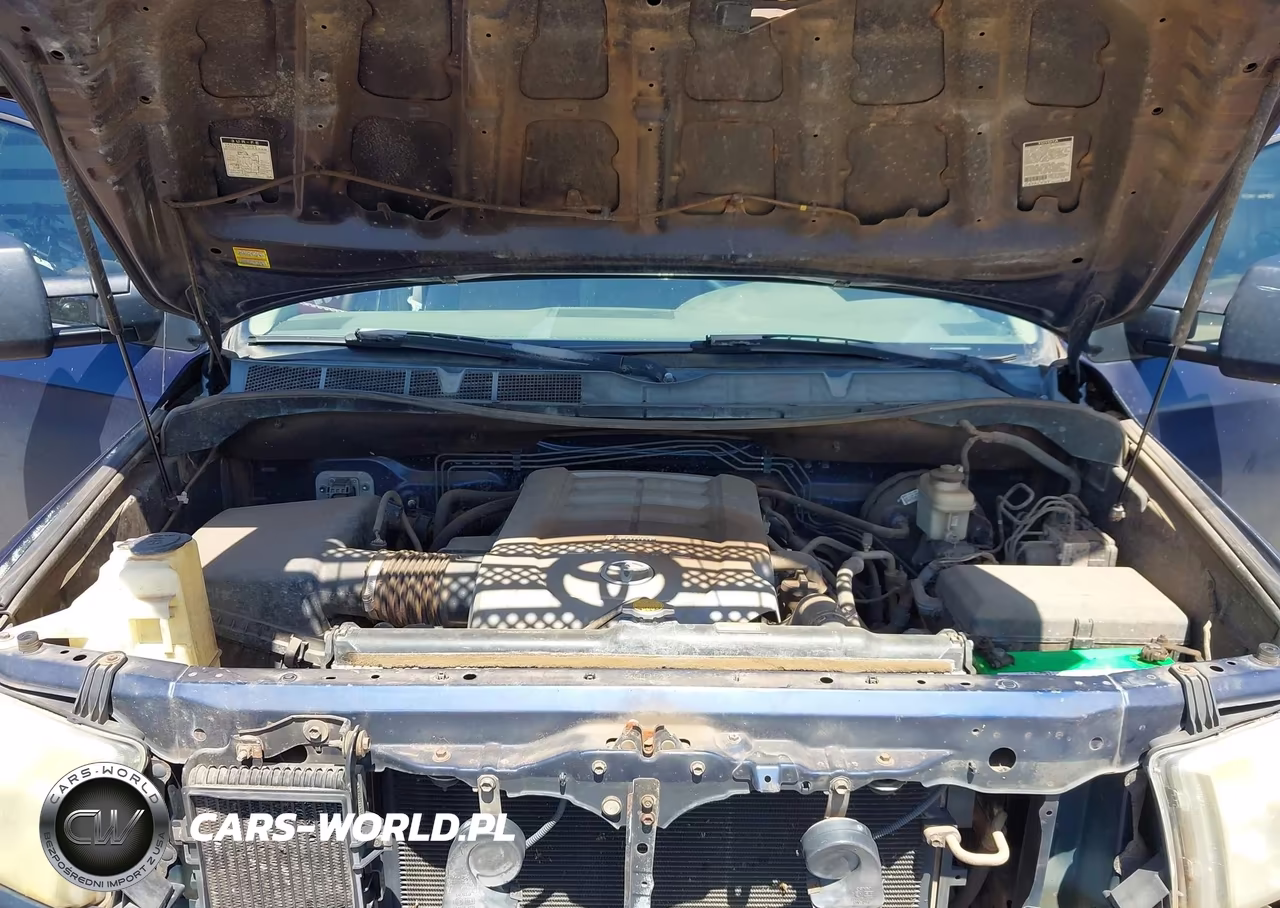 2007 Toyota Tundra Base 5.7L V8 VIN:5TFJV52127X001533 - 10