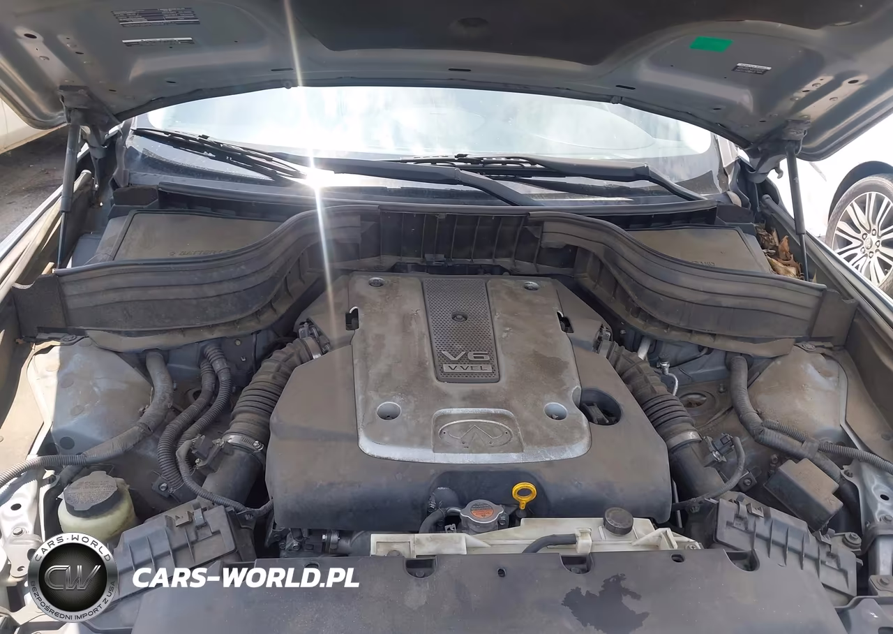 2016 Infiniti Qx50 VIN:JN1BJ0RP2GM231185 - 10