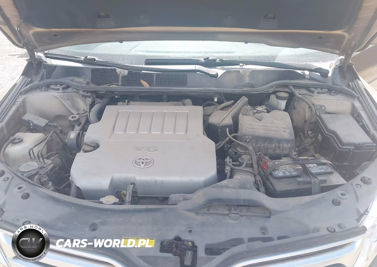 2009 Toyota Venza Base V6 VIN:4T3ZK11A09U013841 - 10
