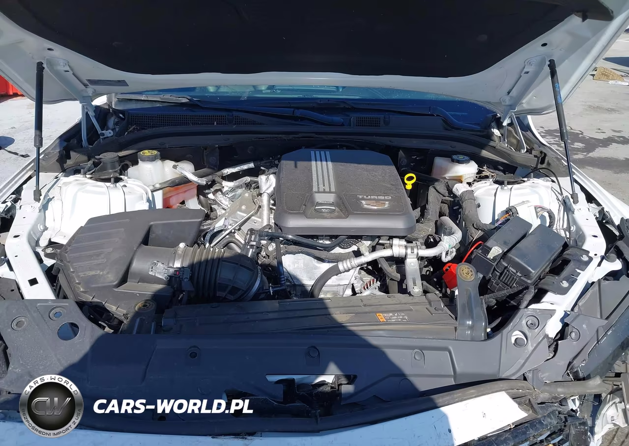 2023 Cadillac Ct5 Luxury VIN:1G6DM5RK1P0157489 - 10