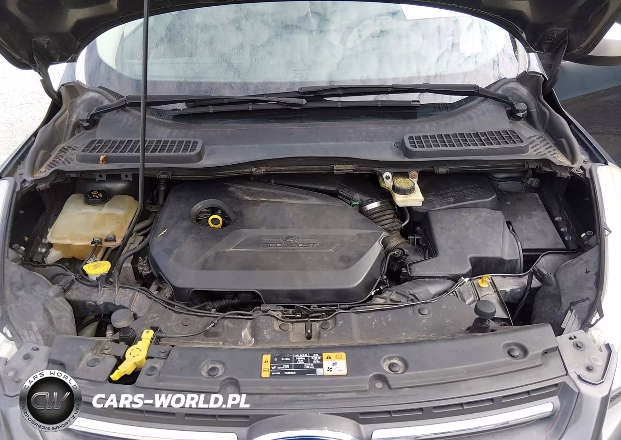 2015 Ford Escape Se VIN:1FMCU0GX8FUA63042 - 10