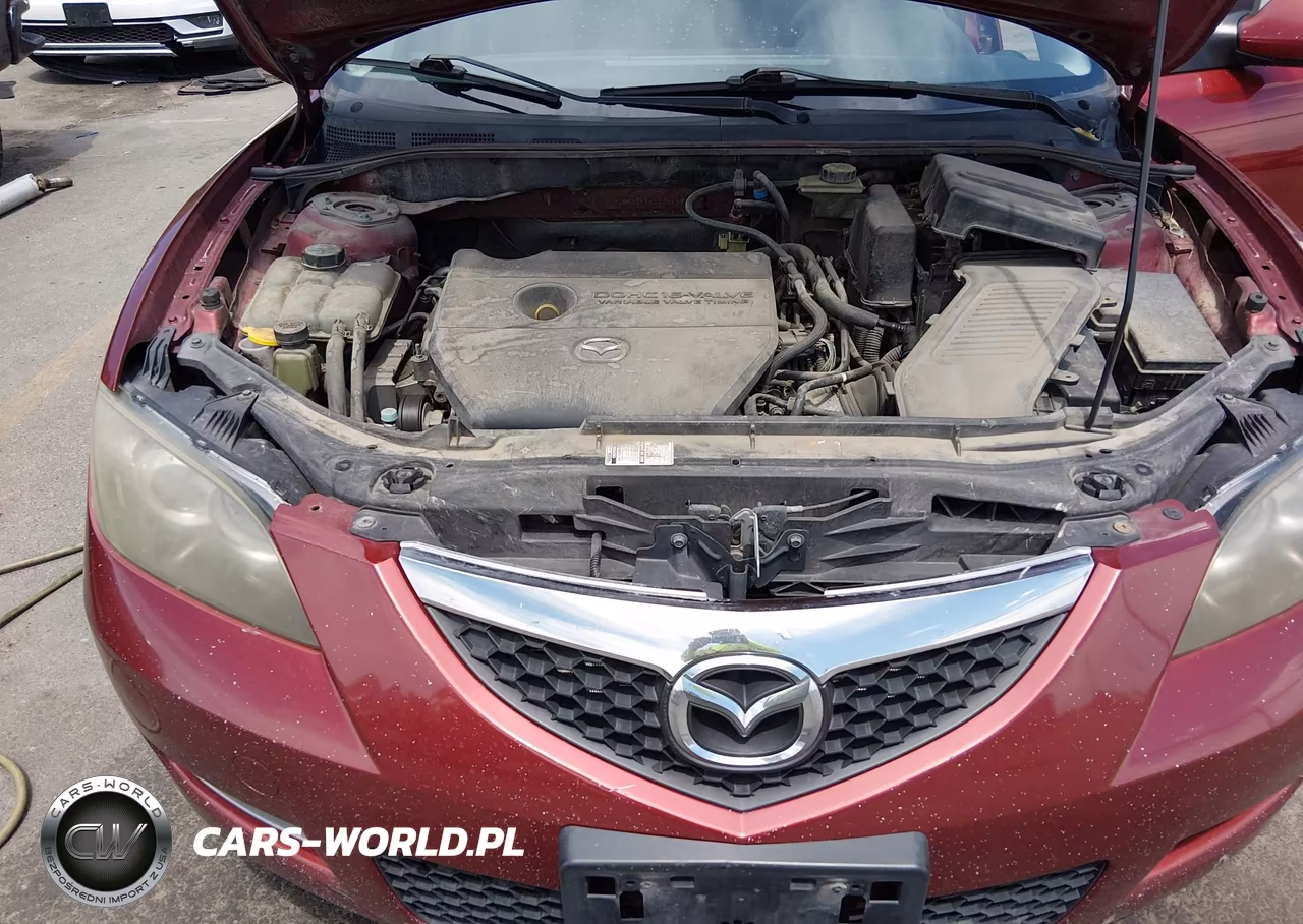 2009 Mazda Mazda3 I Sport VIN:JM1BK32F991216989 - 10