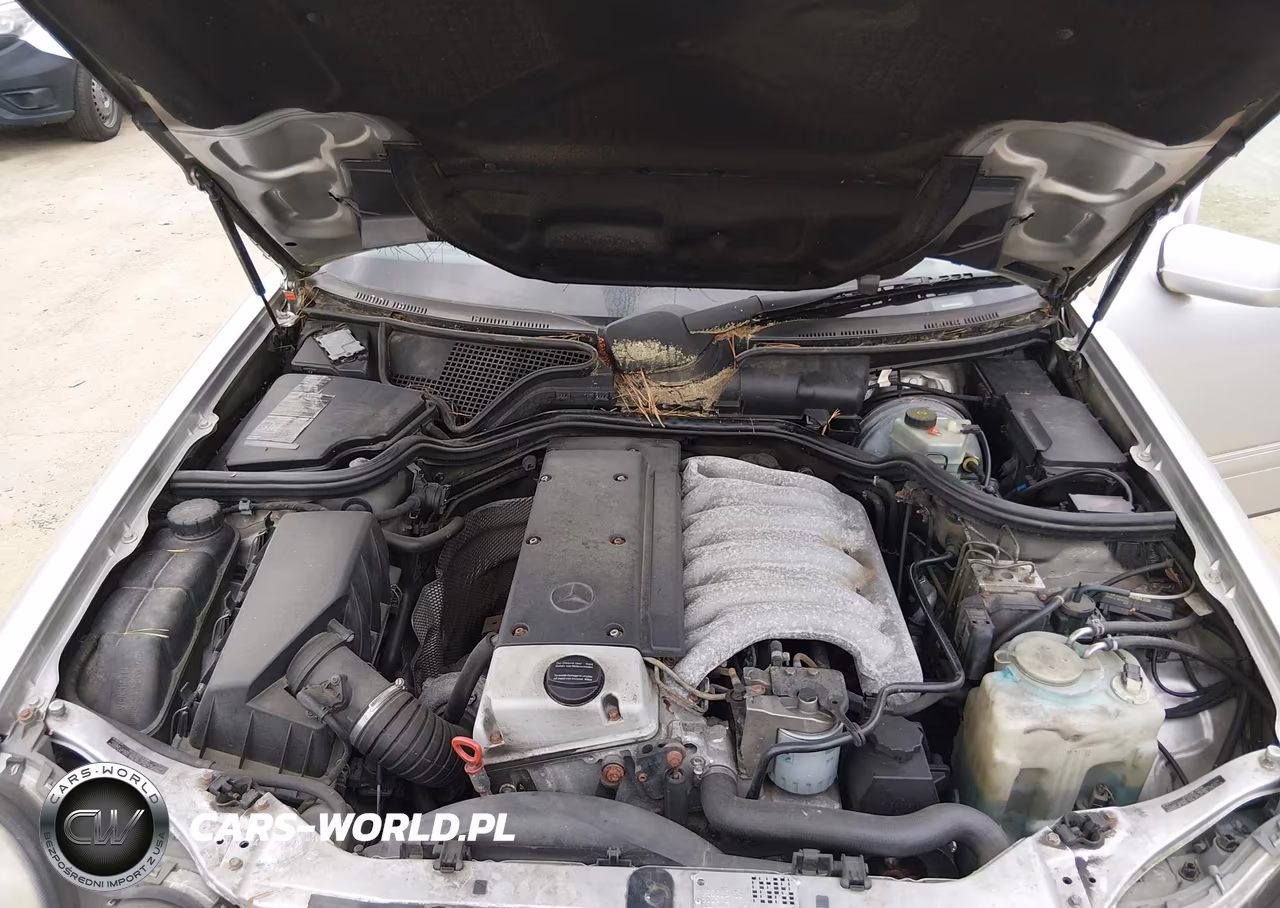 1999 Mercedes-Benz E 300 Diesel VIN:WDBJF25H1XA934118 - 10
