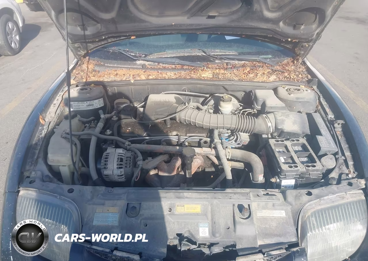 2000 Pontiac Sunfire Se VIN:1G2JB124XY7136938 - 10