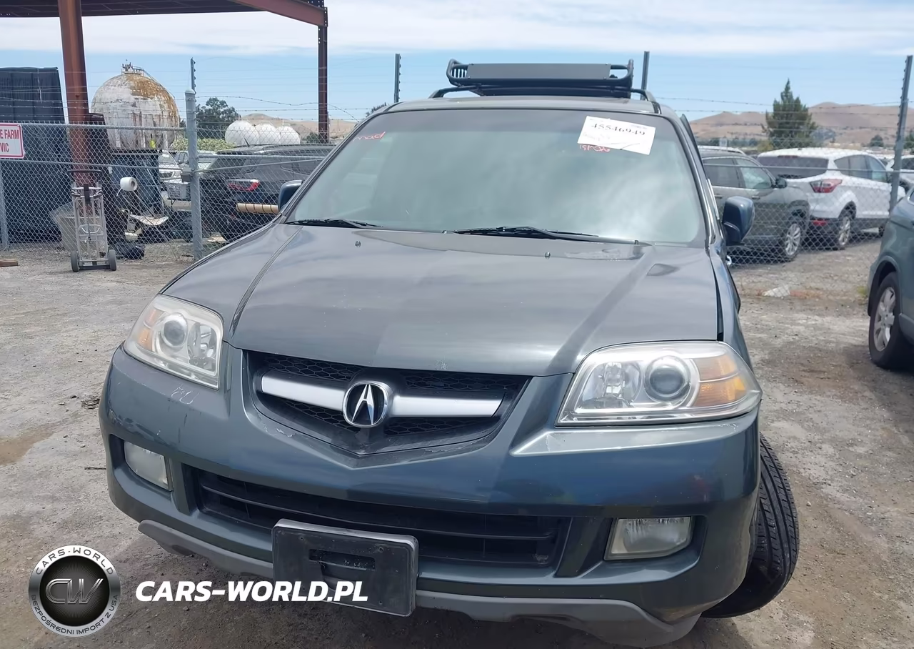 2004 Acura Mdx VIN:2HNYD18604H520877 - 12