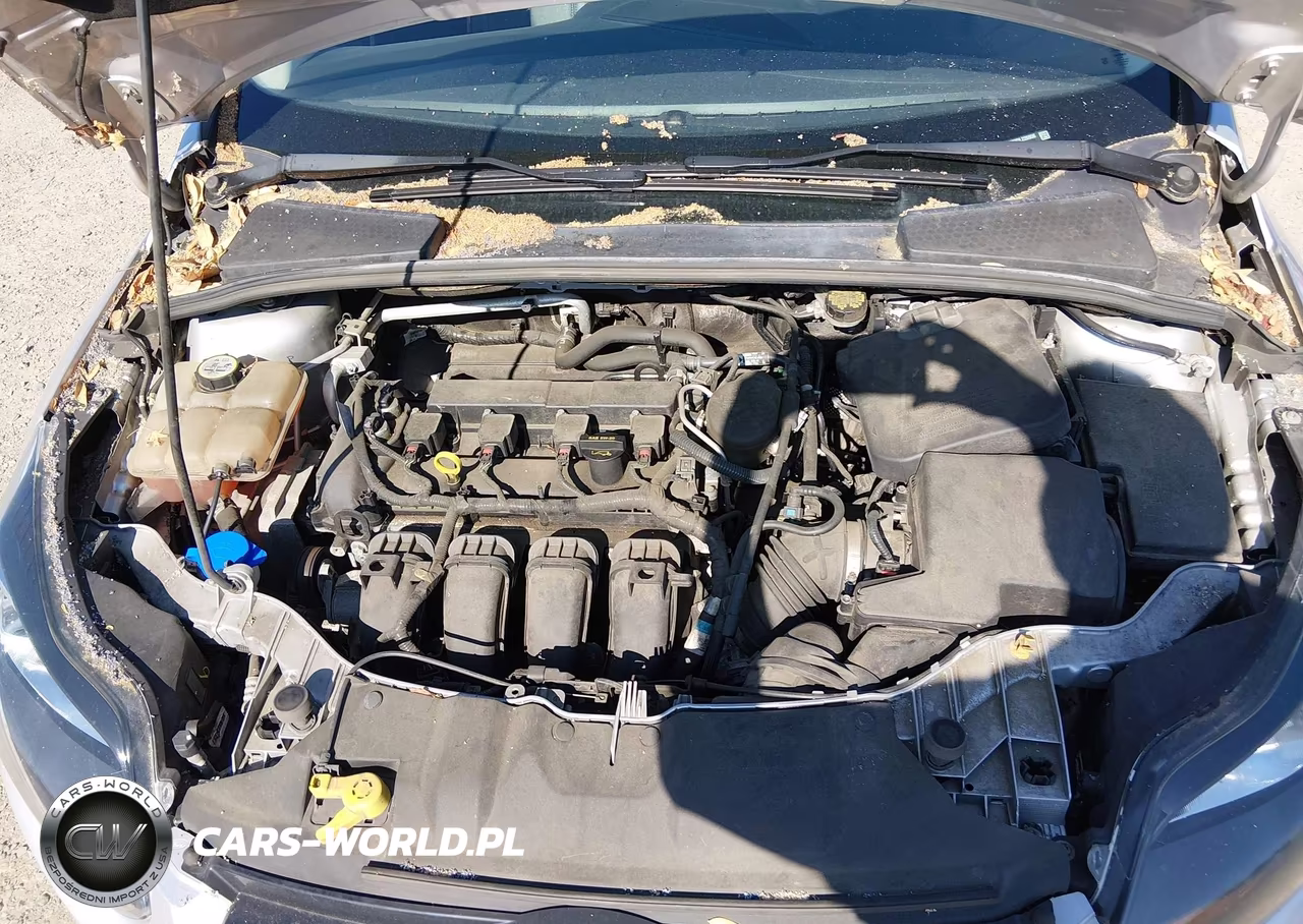 2013 Ford Focus Titanium VIN:1FADP3N23DL226956 - 10