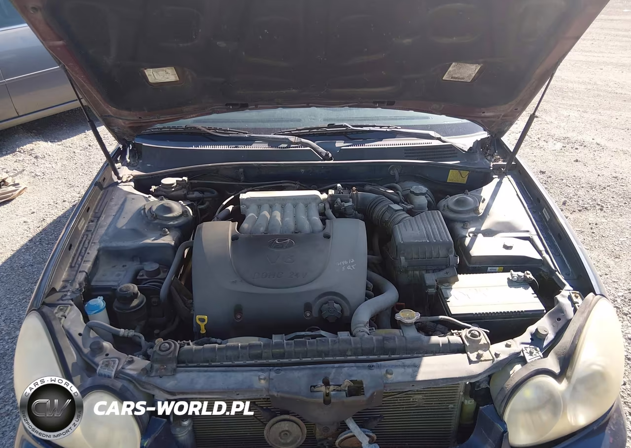 2003 Hyundai Sonata Base W-2.7L V6 VIN:KMHWF25H73A896732 - 10