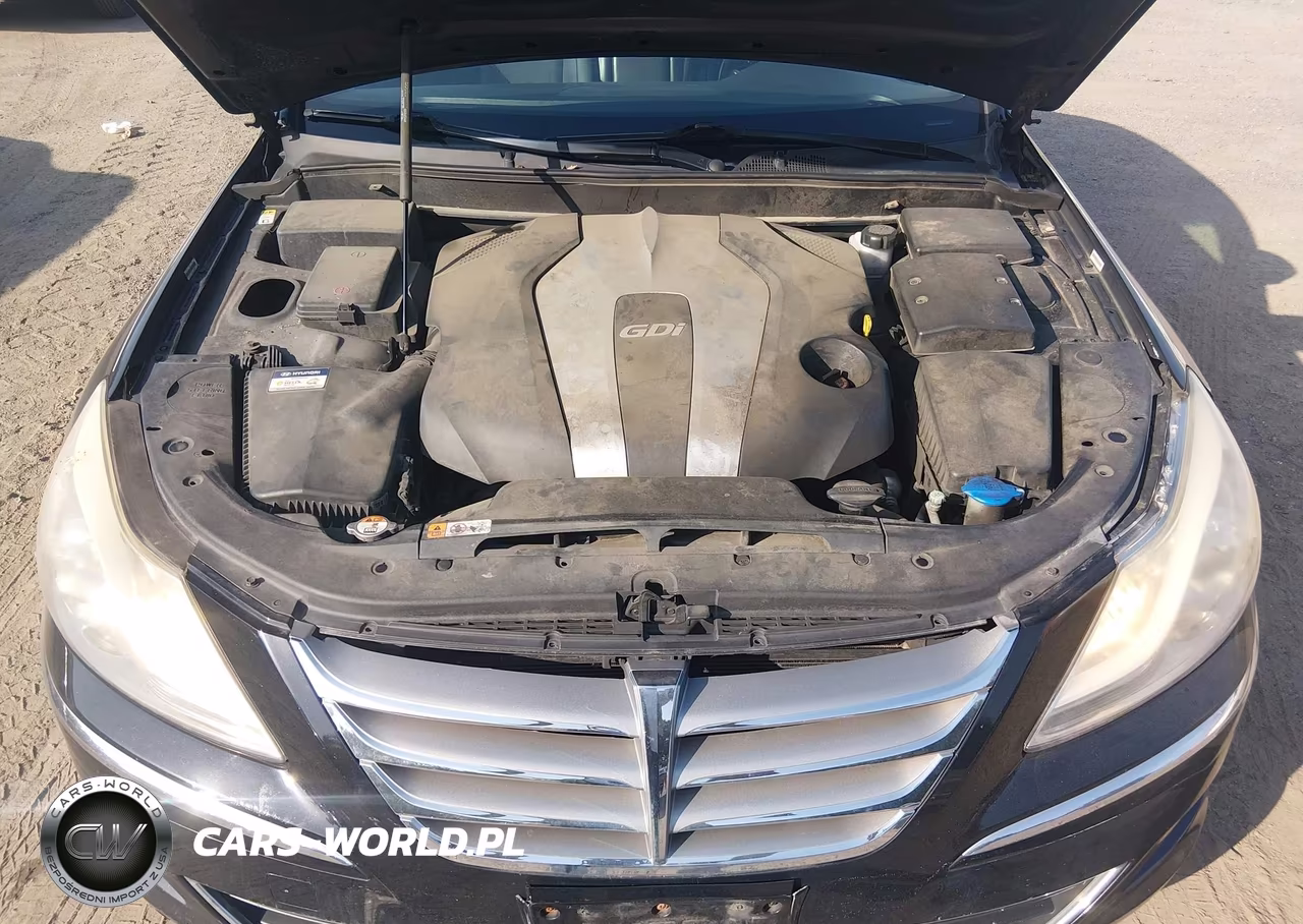 2014 Hyundai Genesis 3.8 VIN:KMHGC4DD9EU261777 - 10