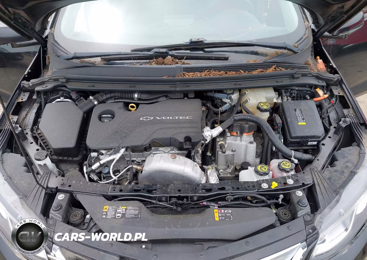 2018 Chevrolet Volt Lt VIN:1G1RA6S57JU113348 - 10