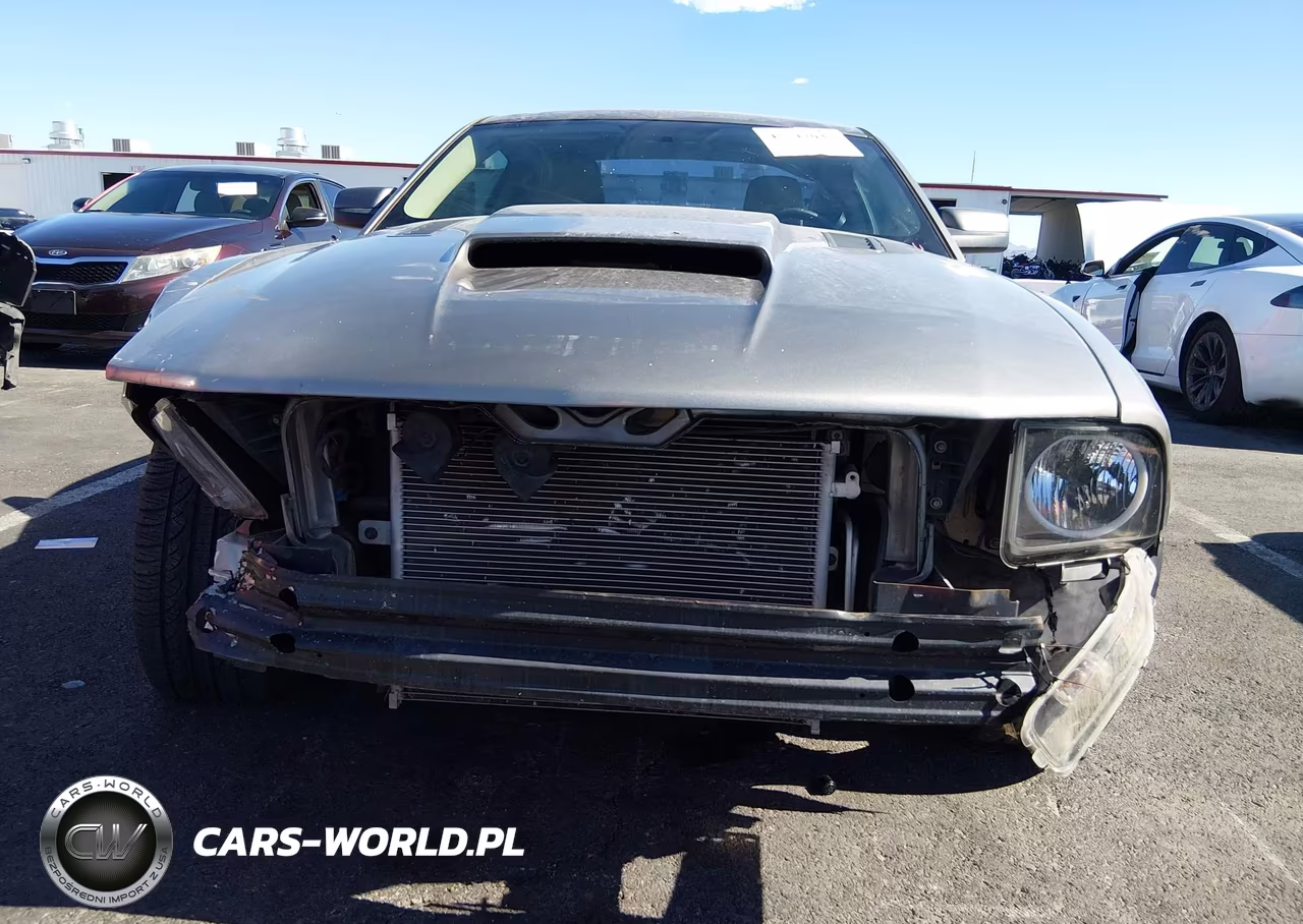 2008 Ford Mustang Gt Deluxe-Gt Premium VIN:1ZVHT82H385119958 - 12