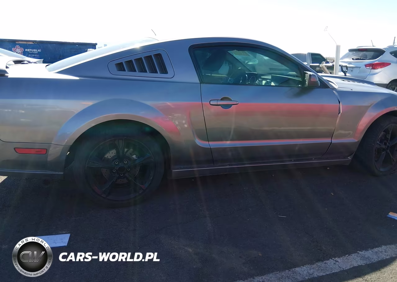 2008 Ford Mustang Gt Deluxe-Gt Premium VIN:1ZVHT82H385119958 - 13