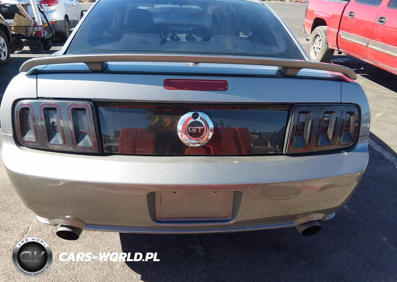 2008 Ford Mustang Gt Deluxe-Gt Premium VIN:1ZVHT82H385119958 - 16