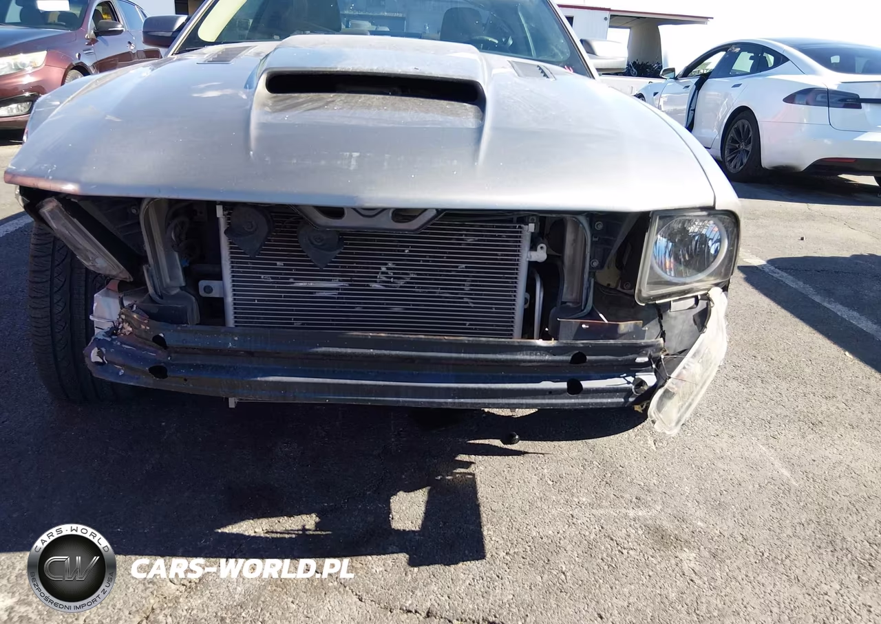 2008 Ford Mustang Gt Deluxe-Gt Premium VIN:1ZVHT82H385119958 - 6