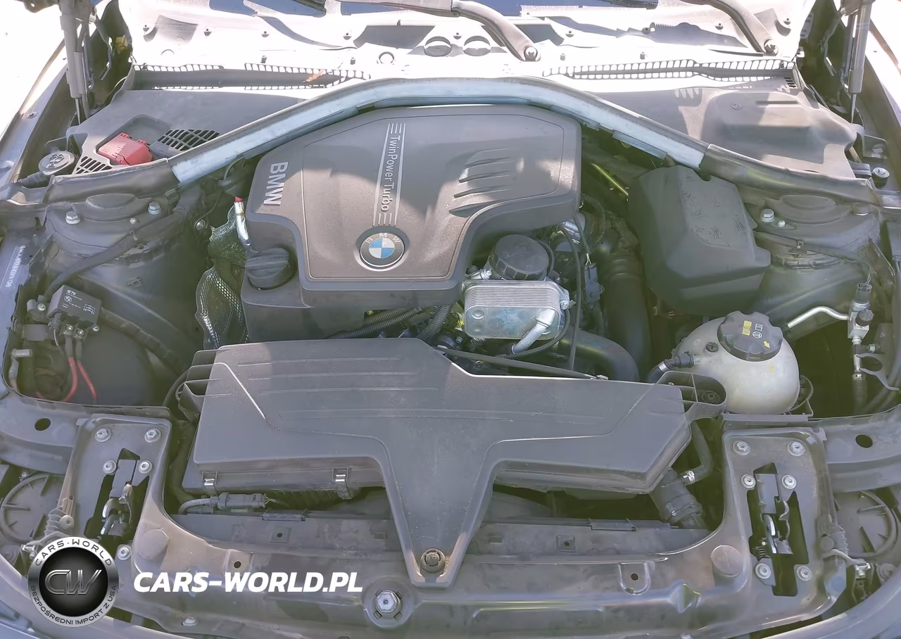 2014 BMW 428I VIN:WBA3N7C50EK221413 - 10