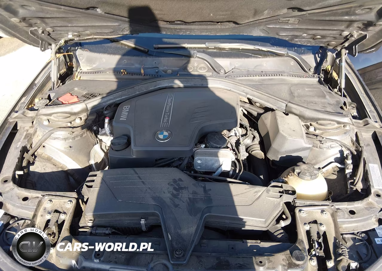 2014 BMW 428I VIN:WBA3N7C54EF718635 - 10