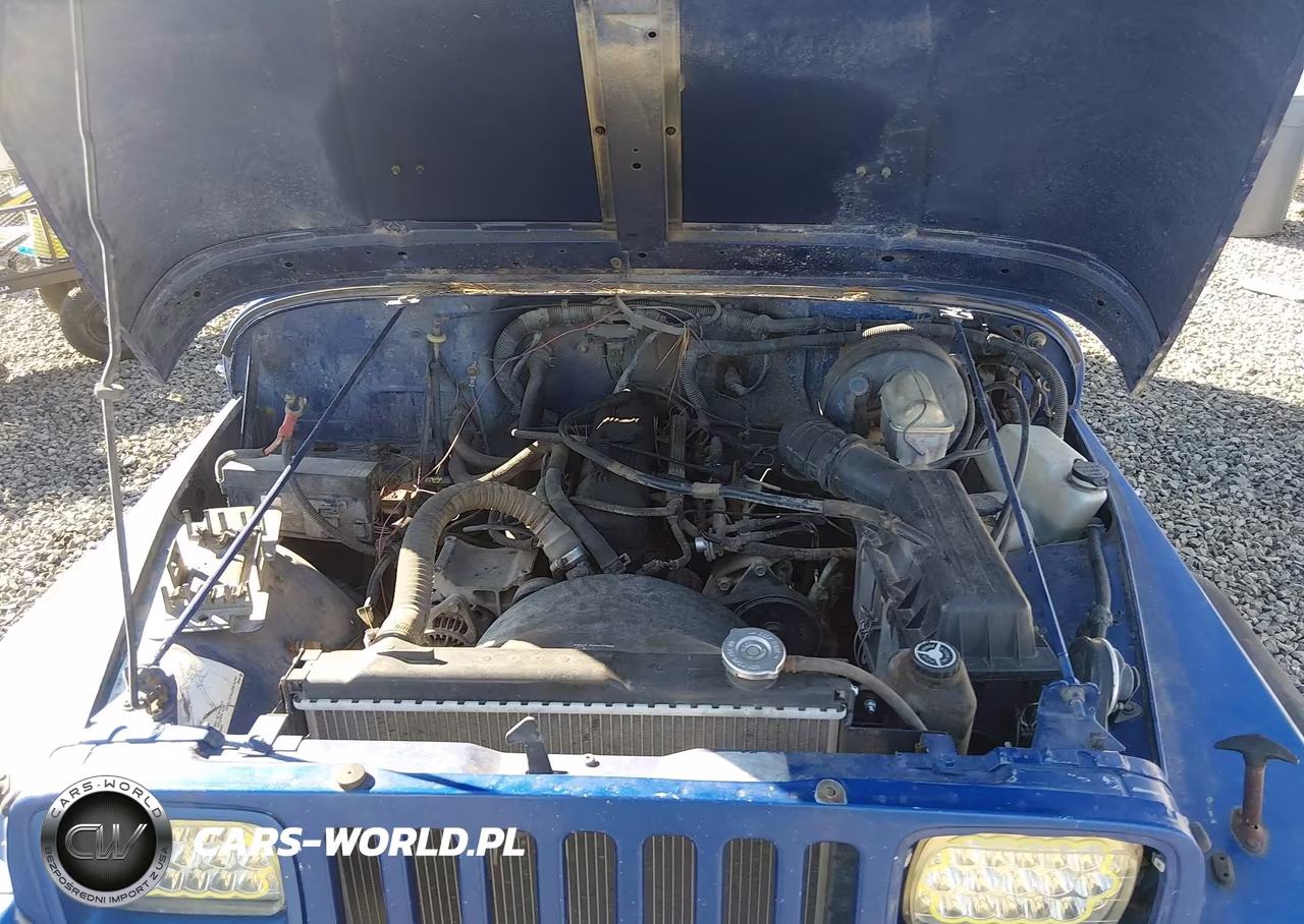 1995 Jeep Wrangler - Yj S-Rio Grande VIN:1J4FY19PXSP280796 - 10