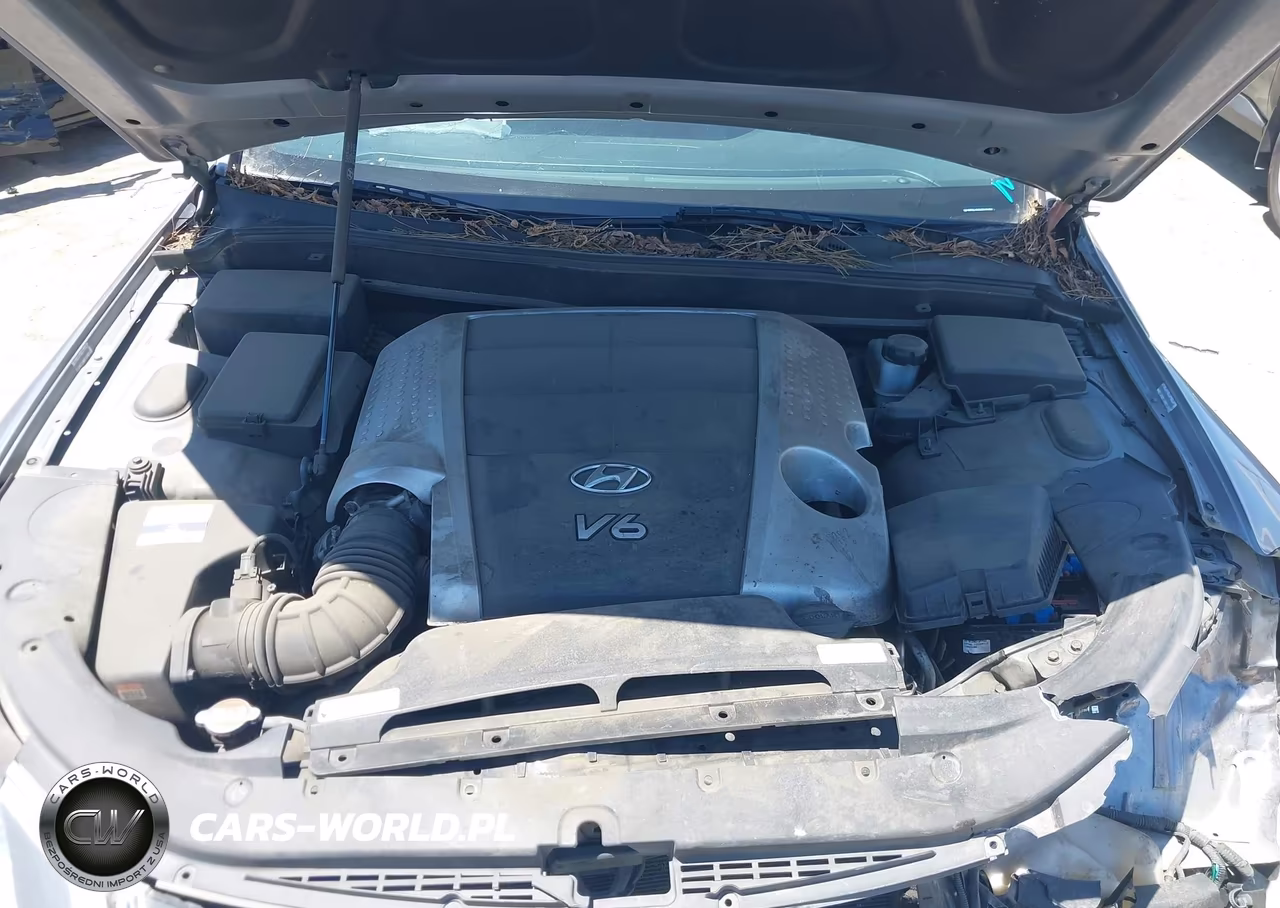 2011 Hyundai Genesis 3.8 VIN:KMHGC4DE0BU140401 - 10