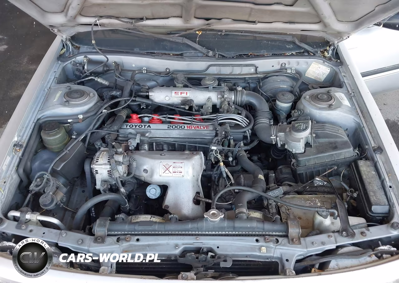 1989 Toyota Camry Dlx VIN:JT2SV21W3K0296703 - 10