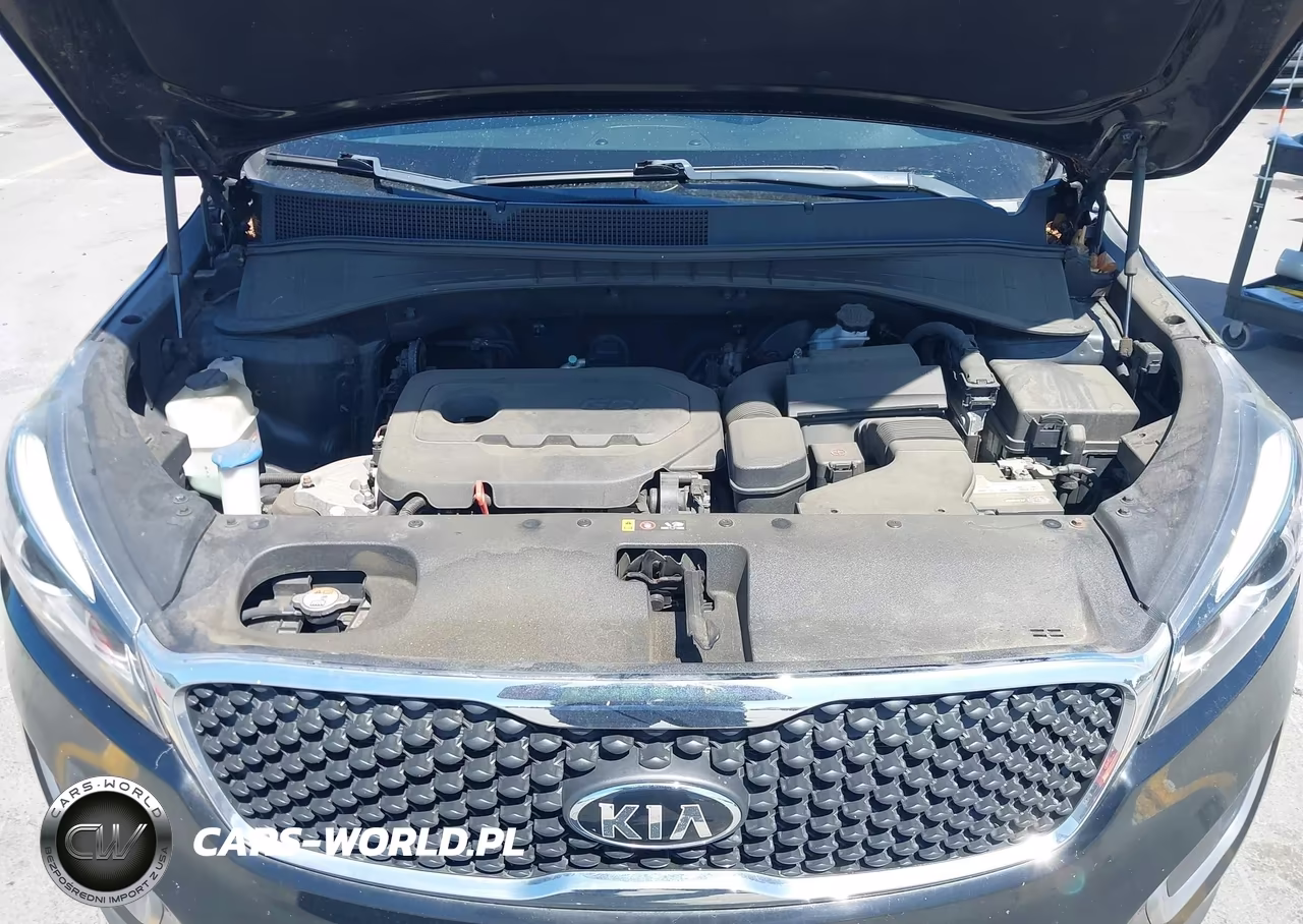 2016 Kia Sorento 2.4L Lx VIN:5XYPGDA39GG021007 - 10
