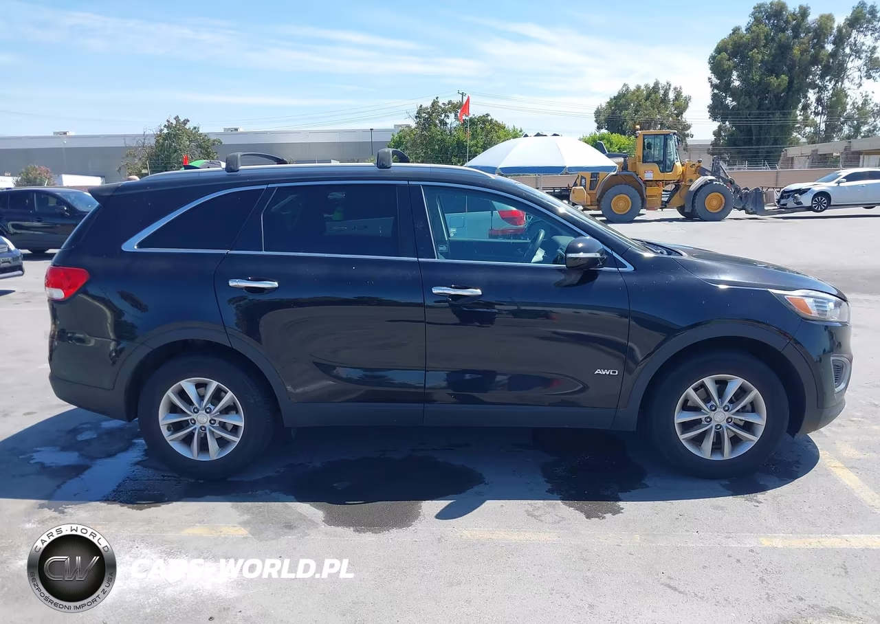 2016 Kia Sorento 2.4L Lx VIN:5XYPGDA39GG021007 - 13