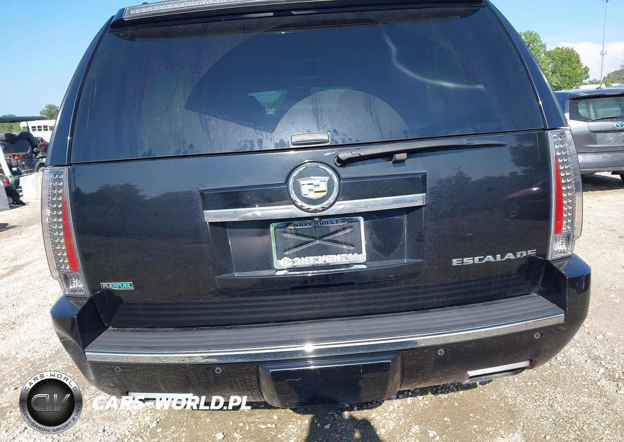 2012 Cadillac Escalade Esv Premium VIN:1GYS4JEF4CR245250 - 16