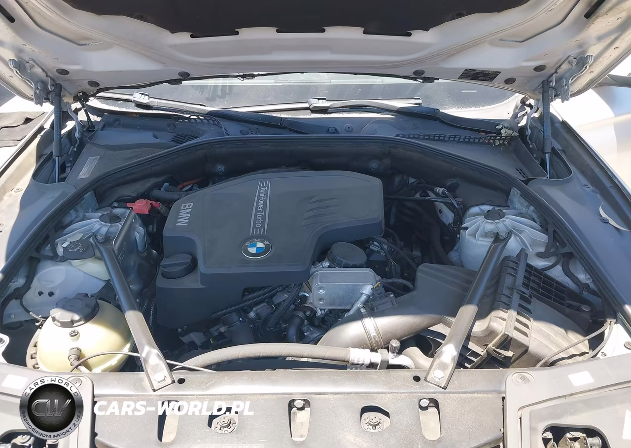 2014 BMW 528I xDrive VIN:WBA5A7C52ED219591 - 10