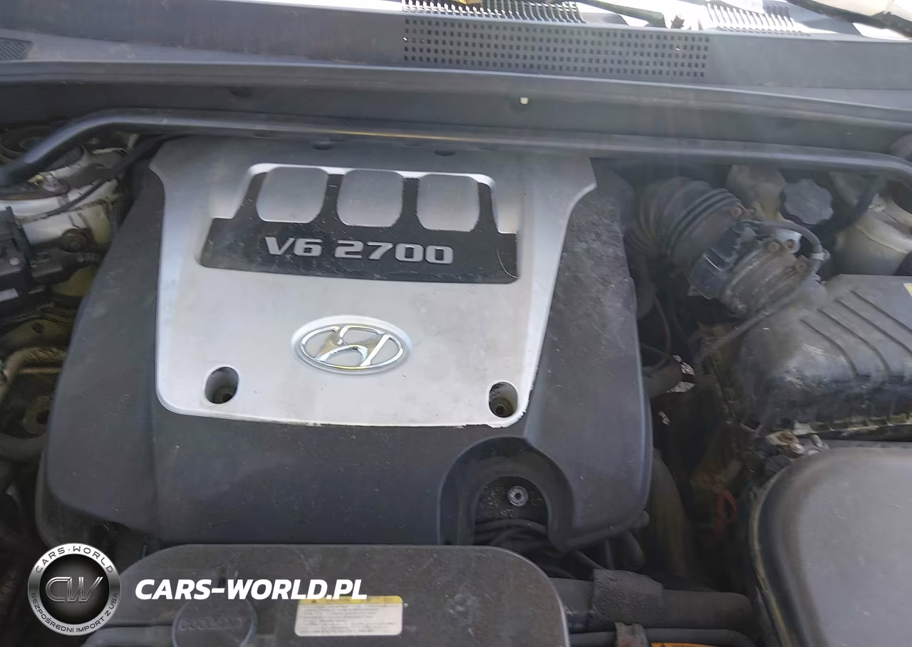 2005 Hyundai Tucson Gls-Lx VIN:KM8JN12D55U097977 - 10