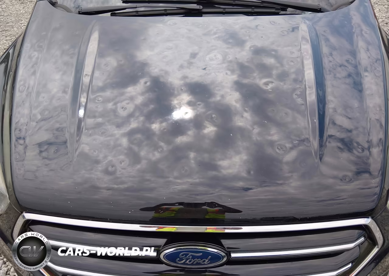 2017 Ford Escape Se VIN:1FMCU0G93HUA36139 - 6