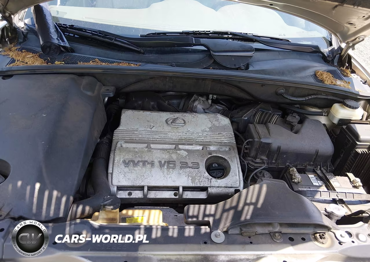 2004 Lexus Rx 330 VIN:2T2GA31U34C005716 - 10