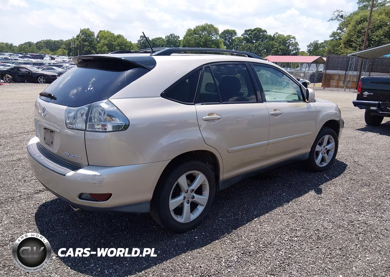 2004 Lexus Rx 330 VIN:2T2GA31U34C005716 - 4