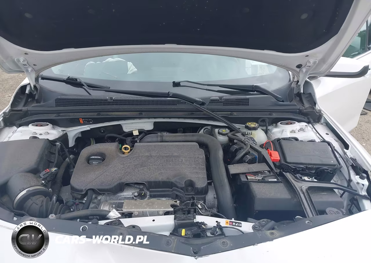 2019 Chevrolet Malibu Lt VIN:1G1ZD5ST1KF107339 - 10