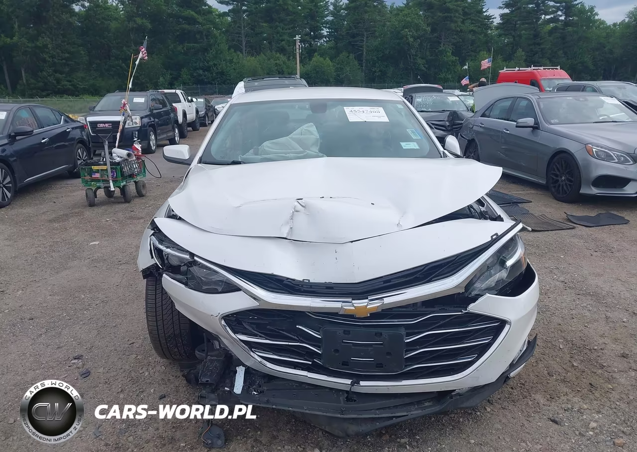 2019 Chevrolet Malibu Lt VIN:1G1ZD5ST1KF107339 - 12