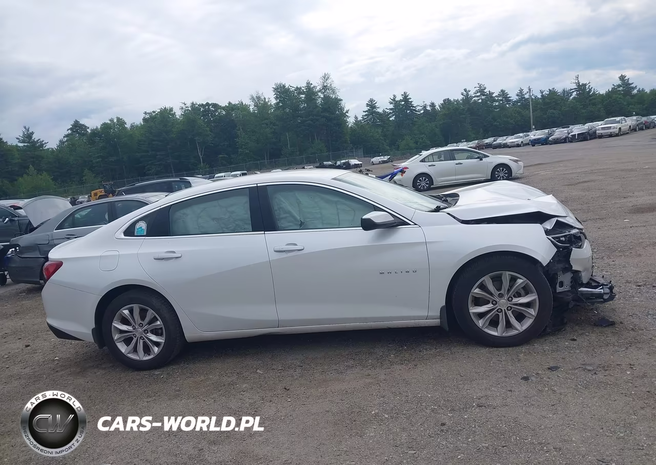 2019 Chevrolet Malibu Lt VIN:1G1ZD5ST1KF107339 - 13