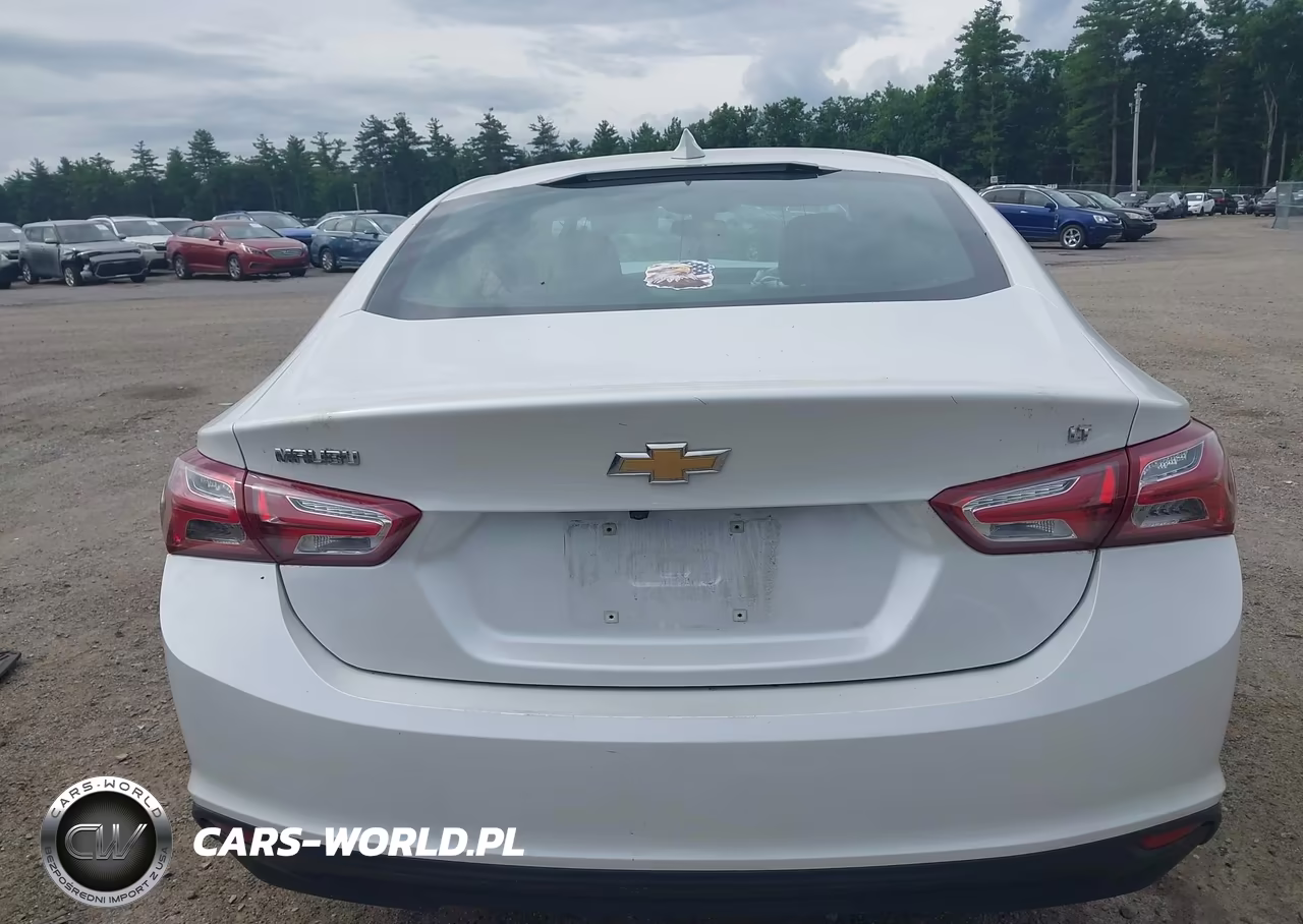2019 Chevrolet Malibu Lt VIN:1G1ZD5ST1KF107339 - 16
