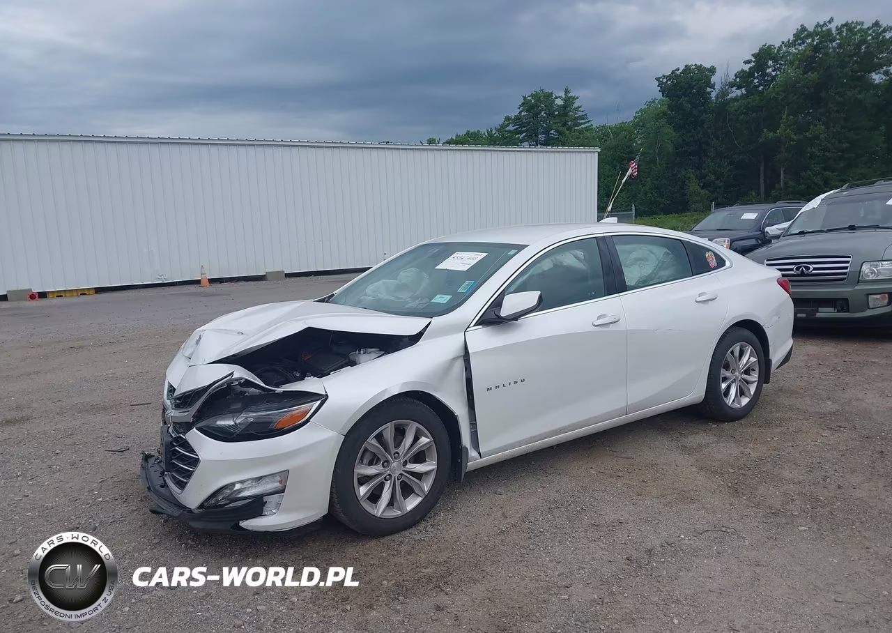 2019 Chevrolet Malibu Lt VIN:1G1ZD5ST1KF107339 - 2