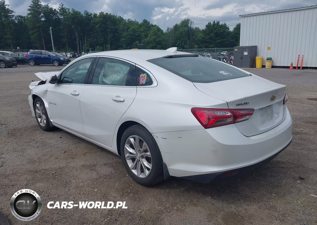 2019 Chevrolet Malibu Lt VIN:1G1ZD5ST1KF107339 - 3