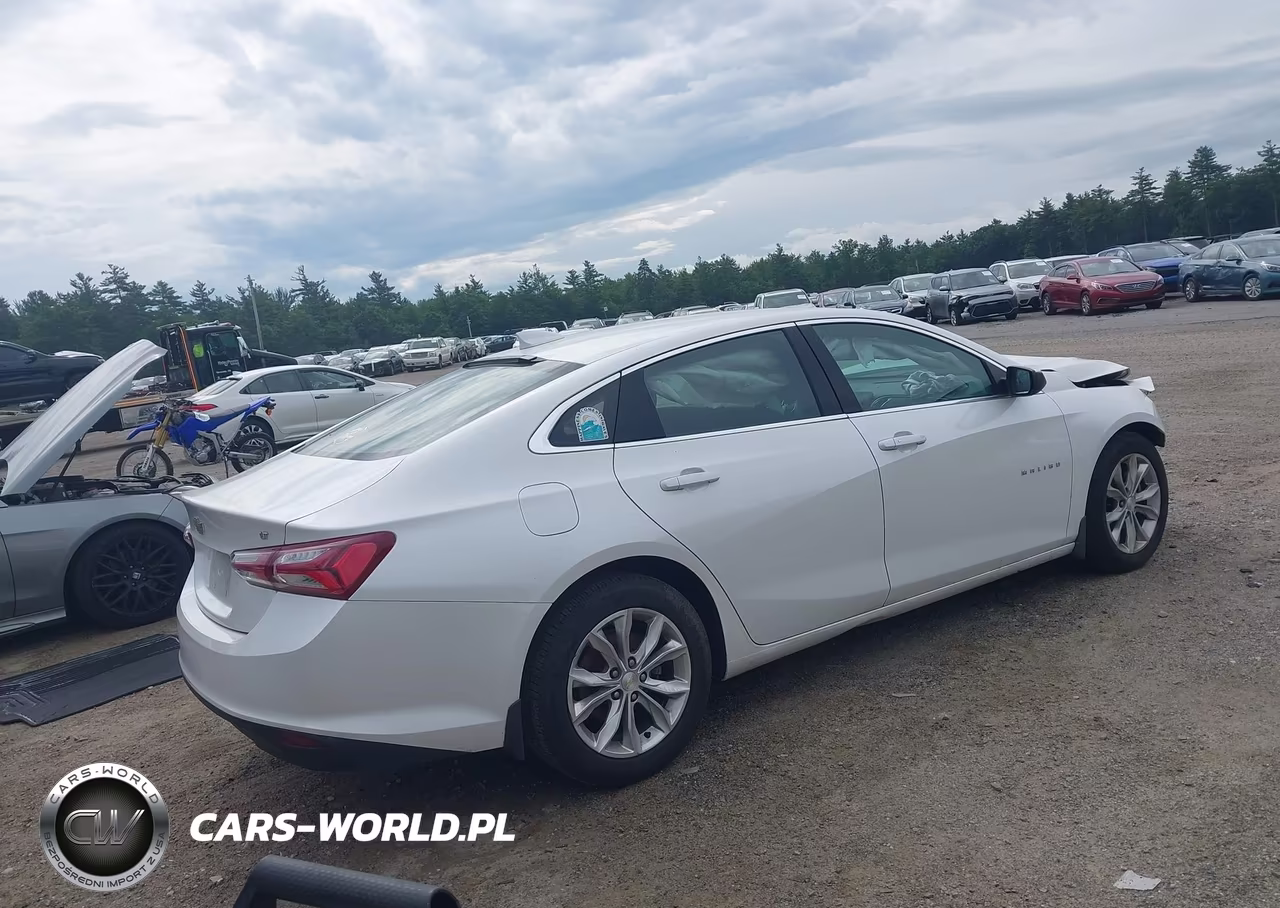 2019 Chevrolet Malibu Lt VIN:1G1ZD5ST1KF107339 - 4