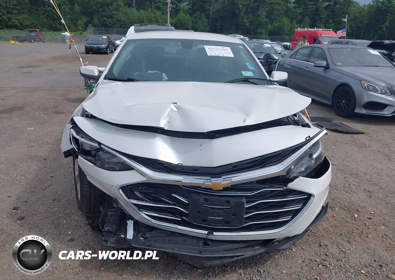 2019 Chevrolet Malibu Lt VIN:1G1ZD5ST1KF107339 - 6