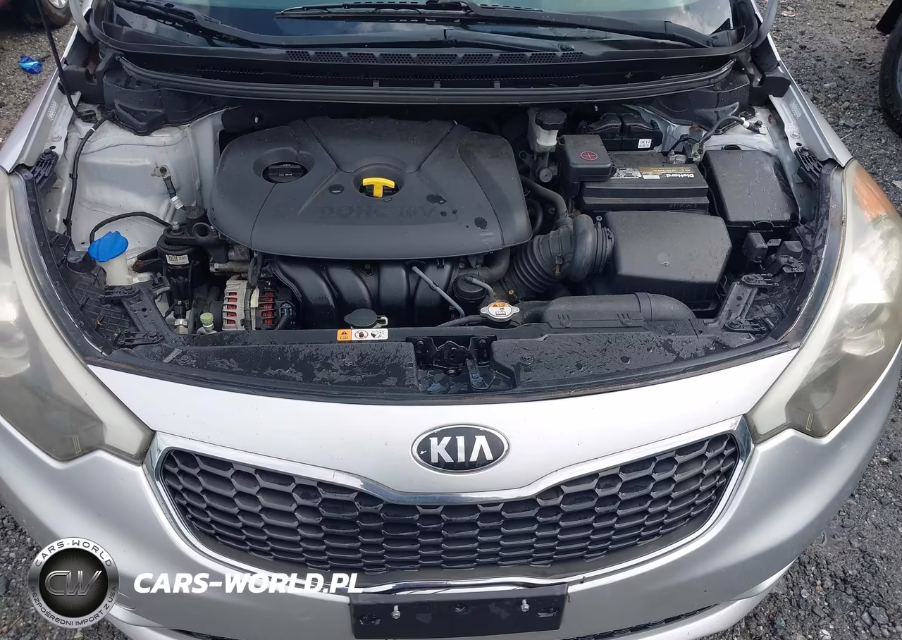 2014 Kia Forte Lx VIN:KNAFK4A62E5149063 - 10