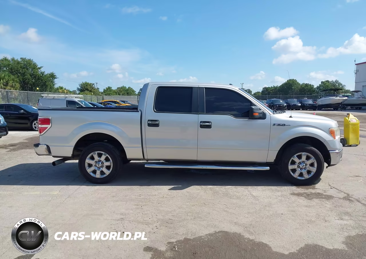 2013 Ford F-150 Fx2-King Ranch-Lariat-Limited-Platinum-Xl-Xlt VIN:1FTFW1CT5DKG45595 - 13