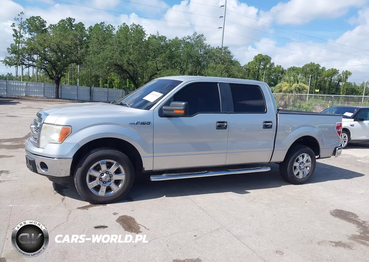 2013 Ford F-150 Fx2-King Ranch-Lariat-Limited-Platinum-Xl-Xlt VIN:1FTFW1CT5DKG45595 - 14