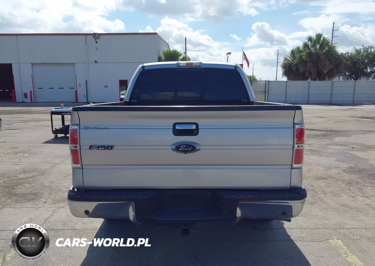 2013 Ford F-150 Fx2-King Ranch-Lariat-Limited-Platinum-Xl-Xlt VIN:1FTFW1CT5DKG45595 - 16
