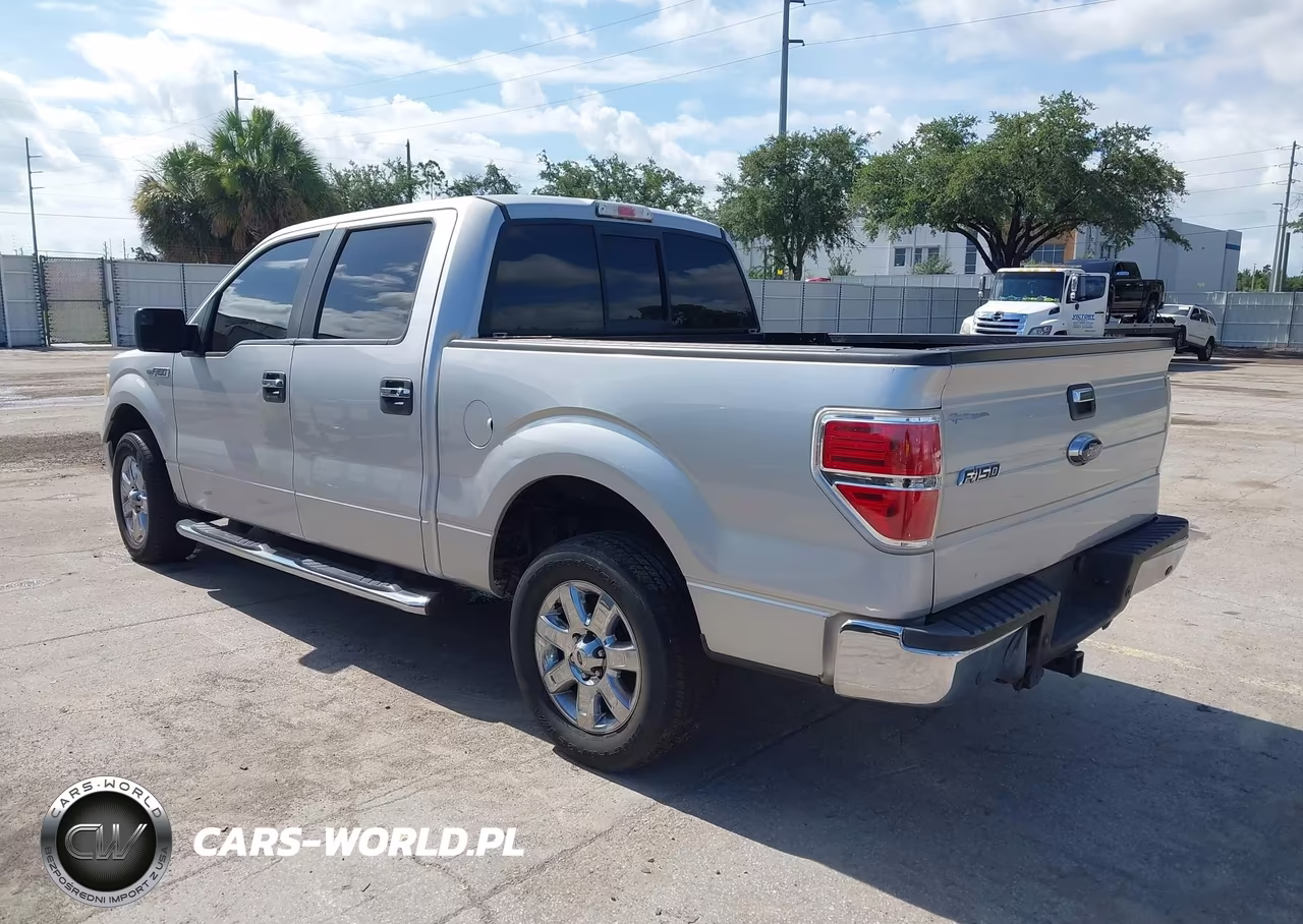 2013 Ford F-150 Fx2-King Ranch-Lariat-Limited-Platinum-Xl-Xlt VIN:1FTFW1CT5DKG45595 - 3