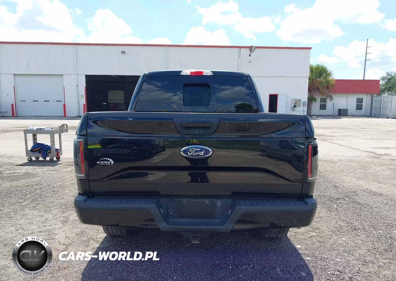 2016 Ford F-150 Lariat-Xl-Xlt VIN:1FTEW1EP4GFC96308 - 16