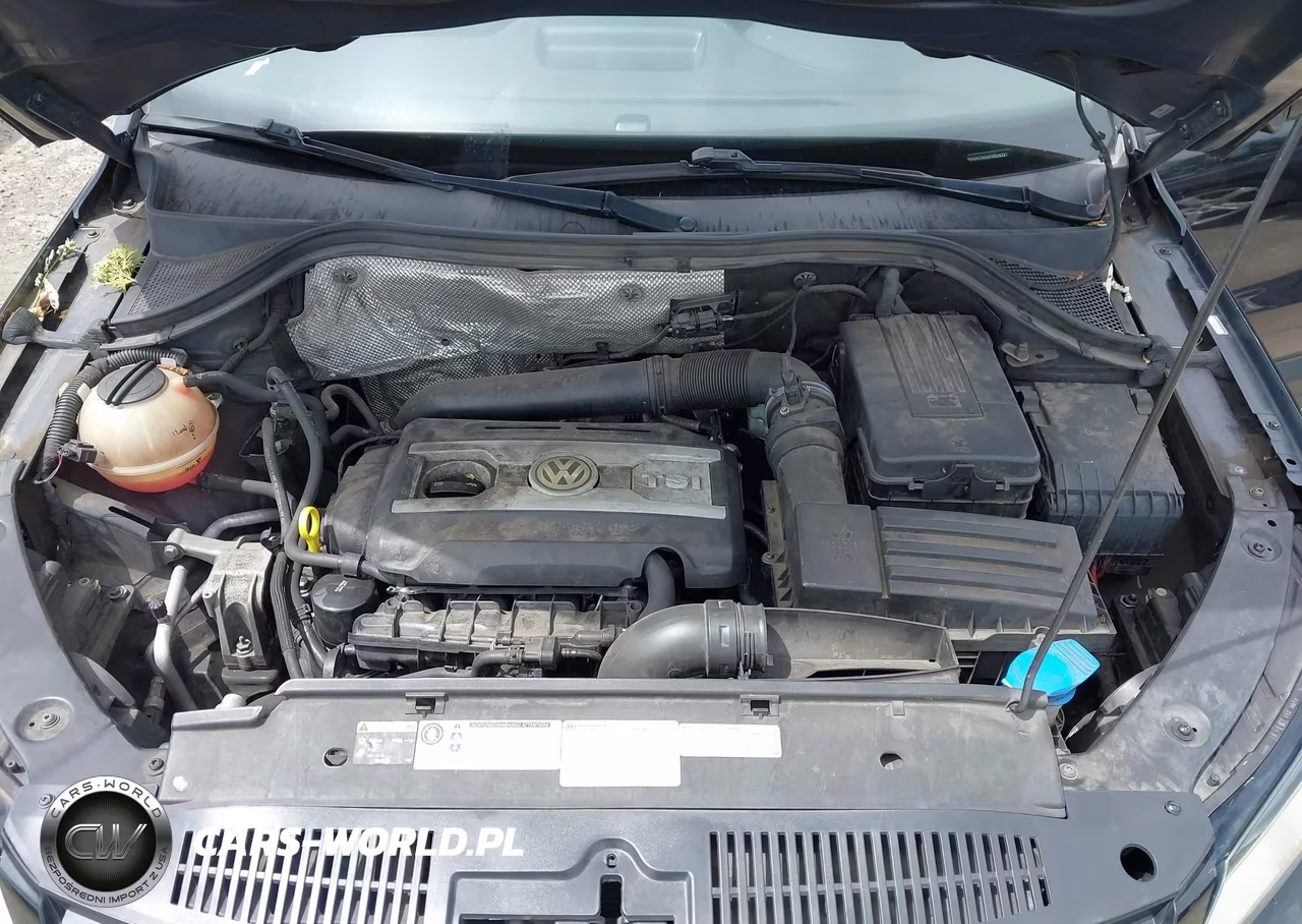 2015 Volkswagen Tiguan S VIN:WVGAV7AX4FW548787 - 10