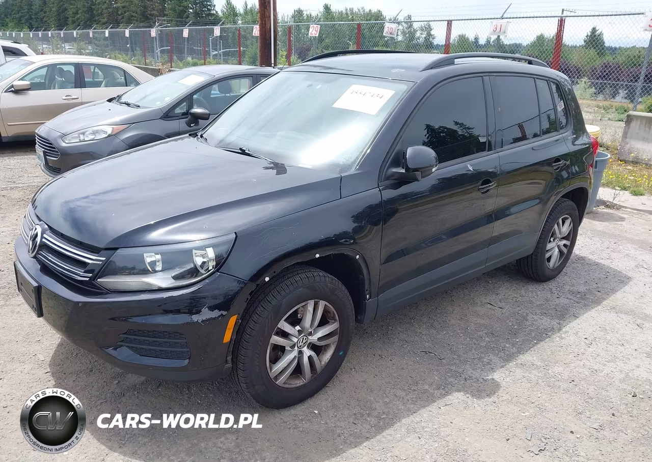 2015 Volkswagen Tiguan S VIN:WVGAV7AX4FW548787 - 2