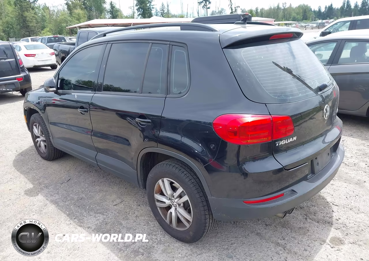 2015 Volkswagen Tiguan S VIN:WVGAV7AX4FW548787 - 3
