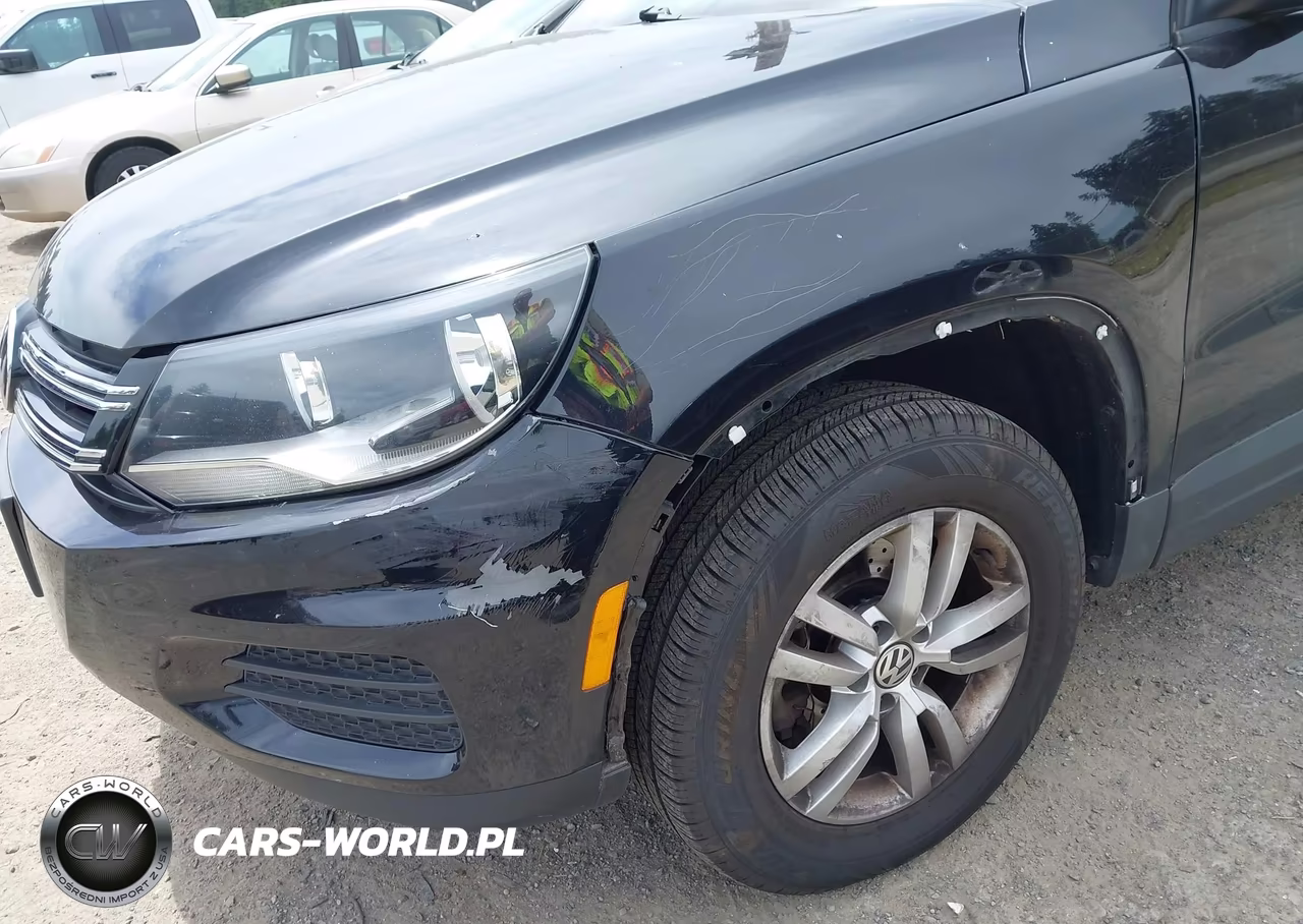 2015 Volkswagen Tiguan S VIN:WVGAV7AX4FW548787 - 6